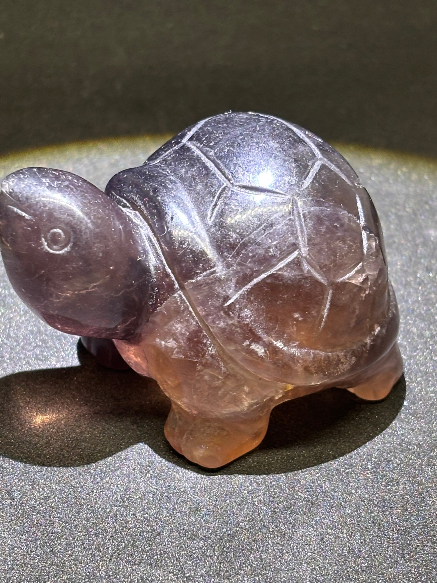 Hand Carved Fluorite Turtle - Smiling Crystal Figurine 8cm